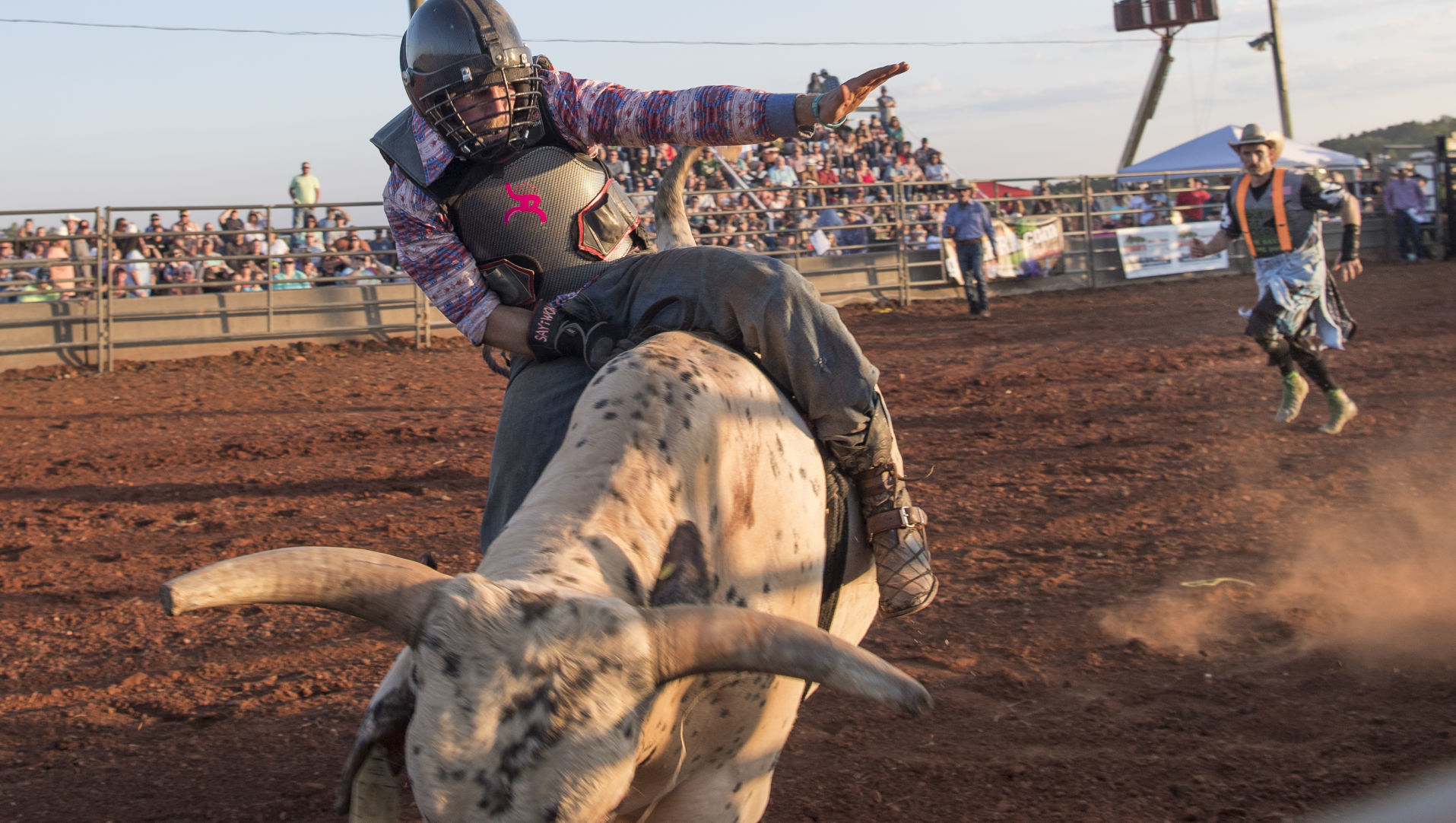 Rodeo 7